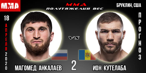 UFC 230.08.2020. Прогнозы на бой Магомед Анкалаев — Иона Кутелаба.