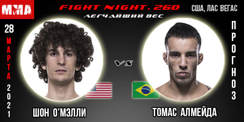 Прогноз на бой Шон О’Мэлли — Томас Алмейда. UFC 260.
