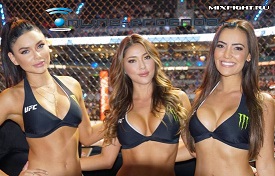 Бойцы ММА против UFC-girls.